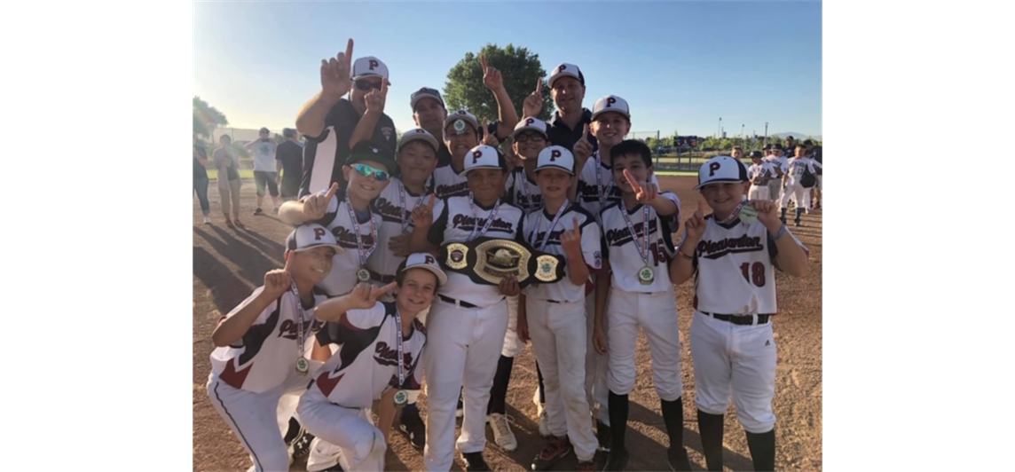 Pleasanton Little League Baseball > Home