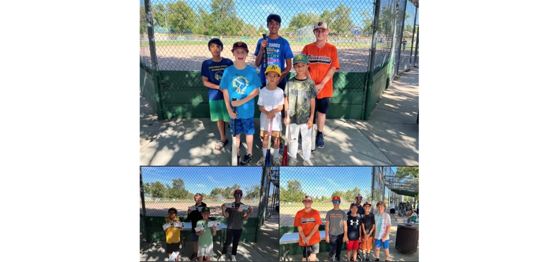 Pleasanton Little League Baseball > Home