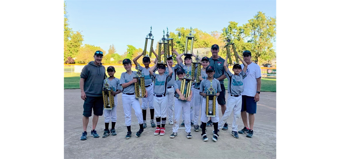 2022 AAA Champions