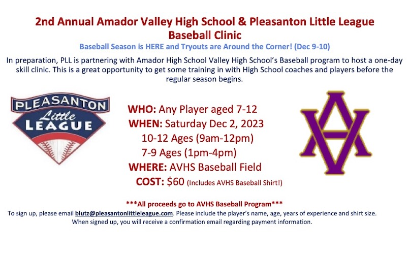 Baseball Clinic